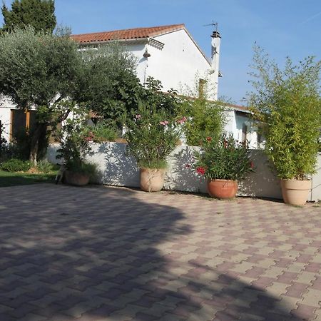 Site Machambreencamargue Vauvert Luaran gambar