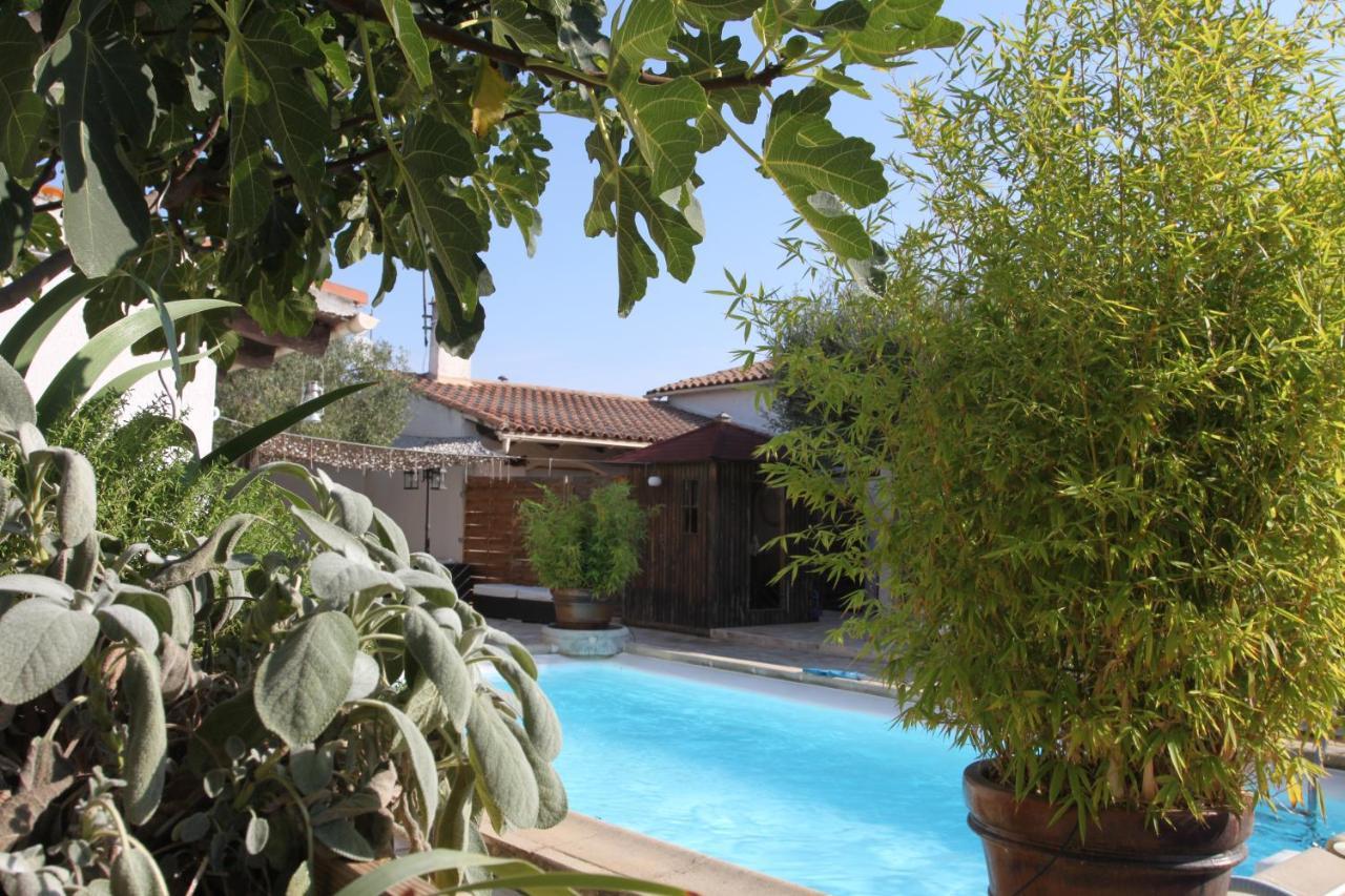 Site Machambreencamargue Vauvert Luaran gambar